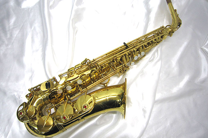 ヤナギサワ　yanagisawa A-900μ アルトサックス